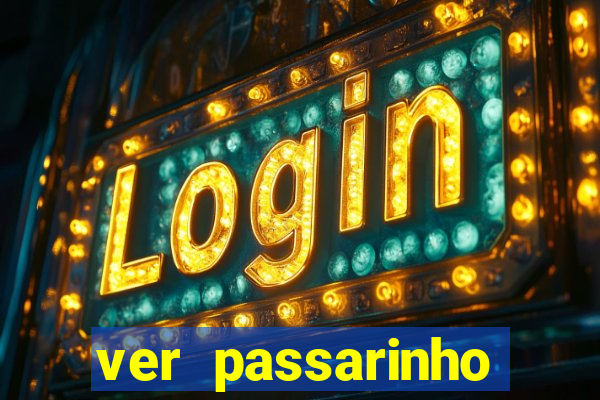 ver passarinho morto significado